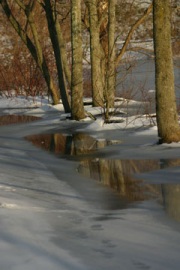 Footsteps-web-meta